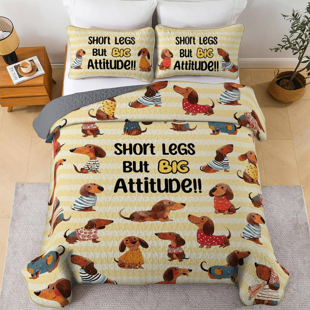 Shineful All Season Quilt 3-Piece Set Big Attitude